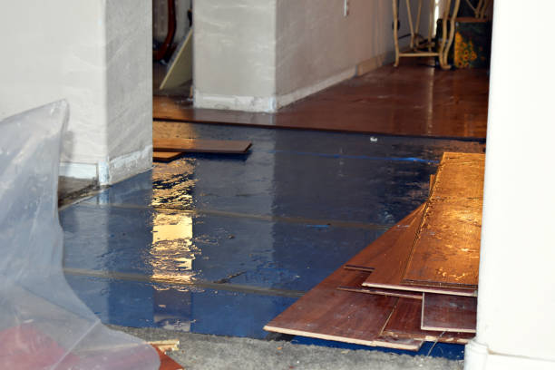 Professional Basement Water Removal technician working in Haslet, TX